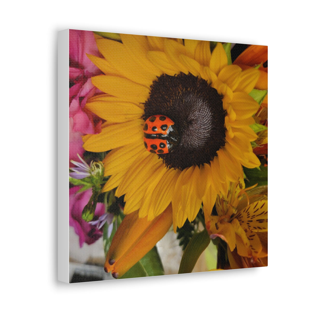 Canvas Gallery Print #1