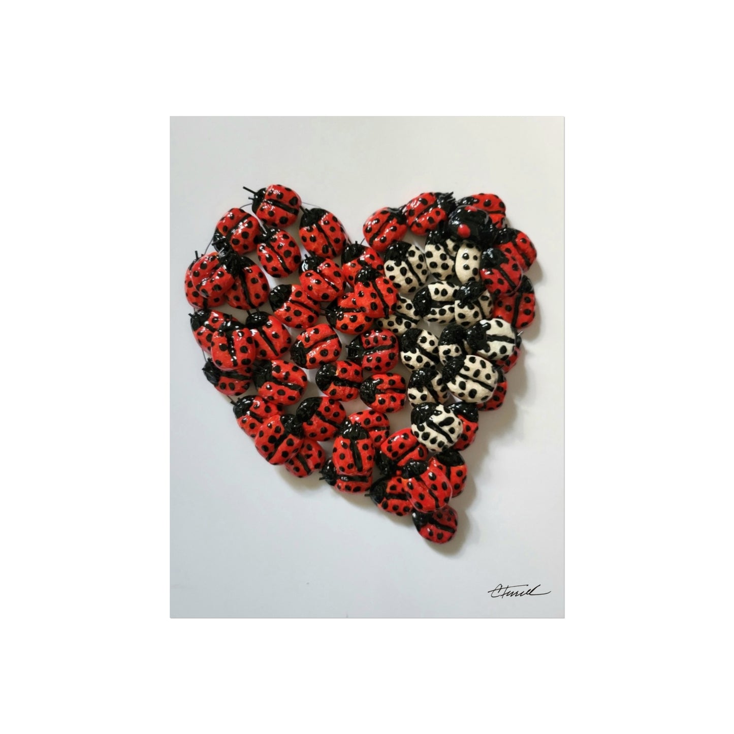 Ladybug Heart Fine Art Print