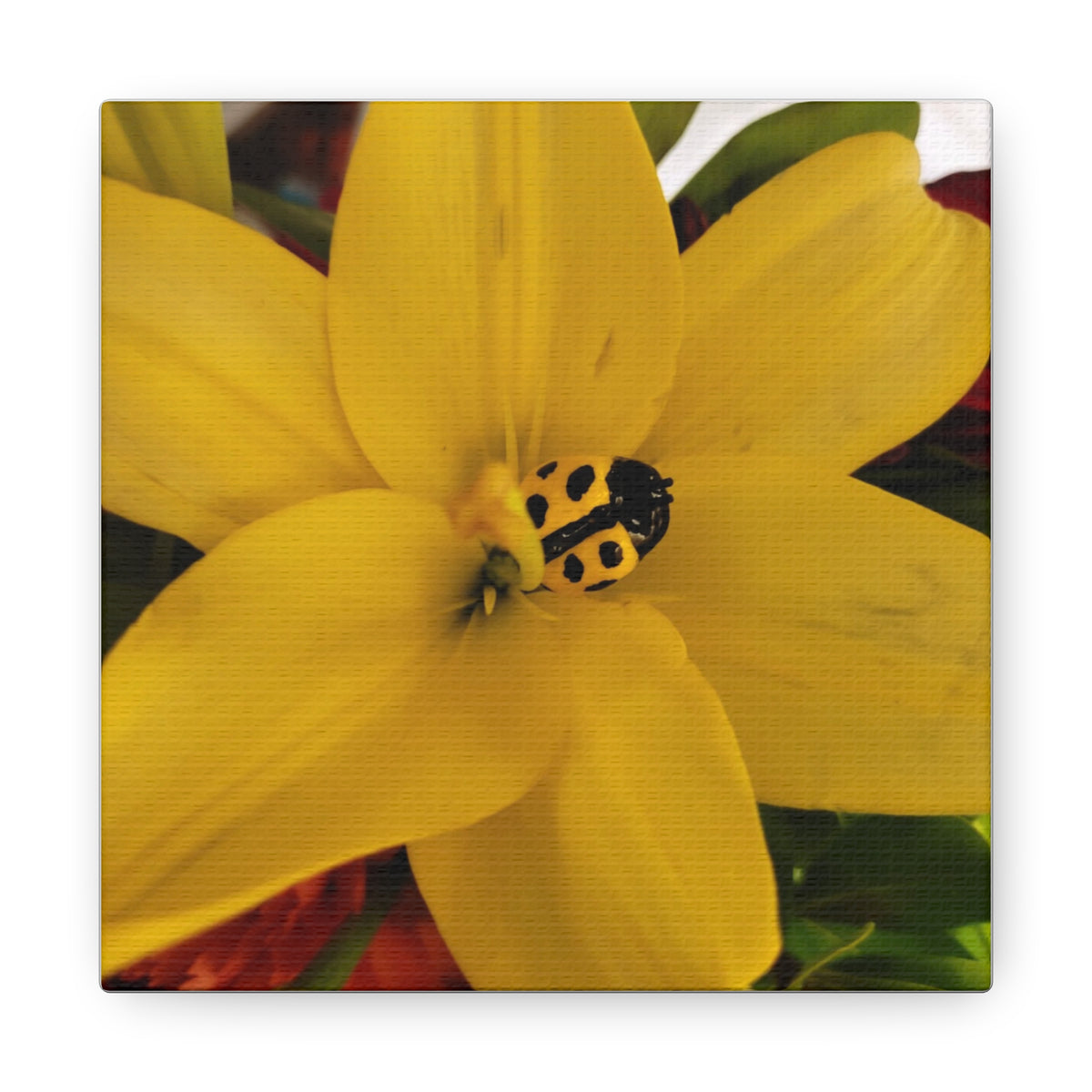 Canvas Gallery Print #3