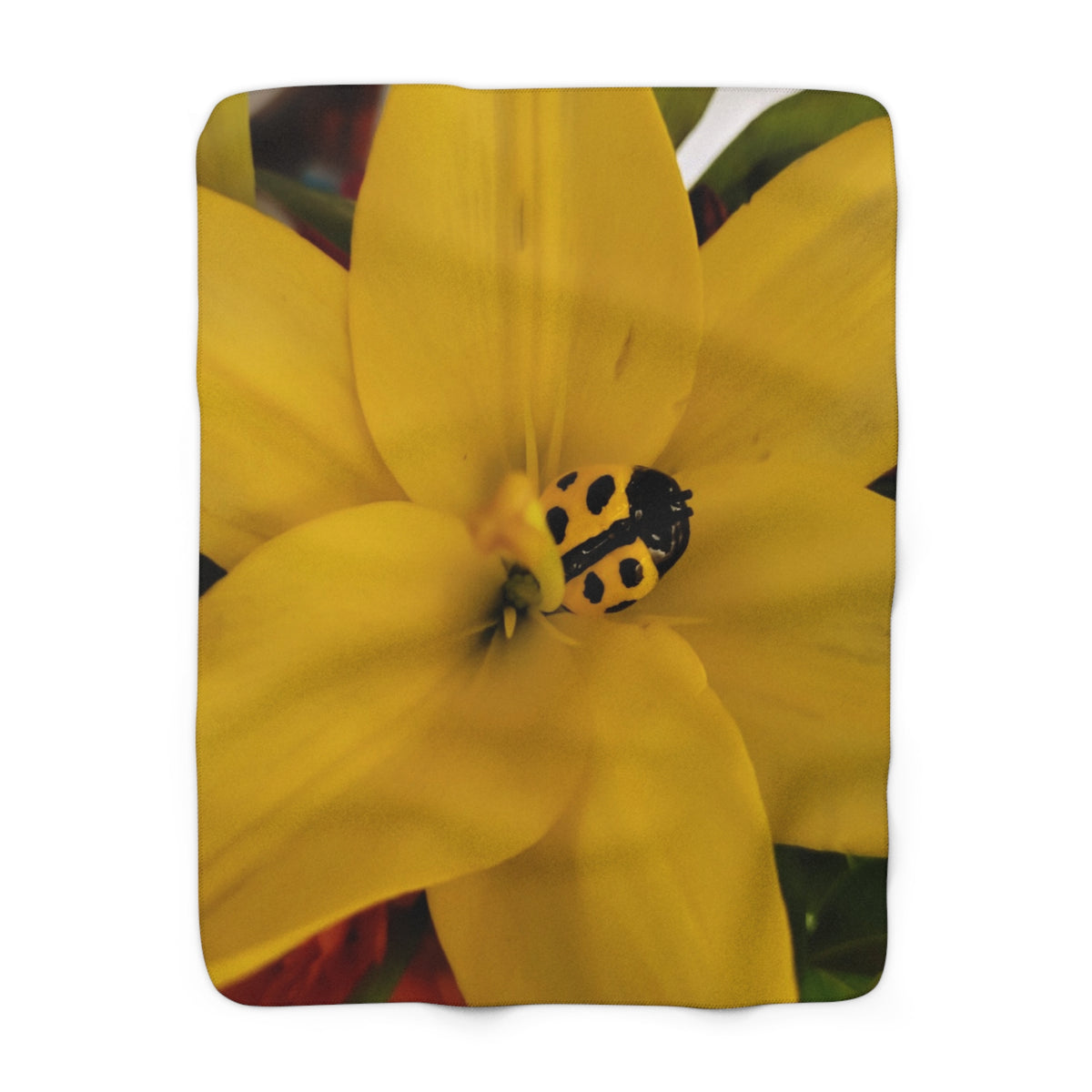 Sherpa Fleece Blanket Print #3