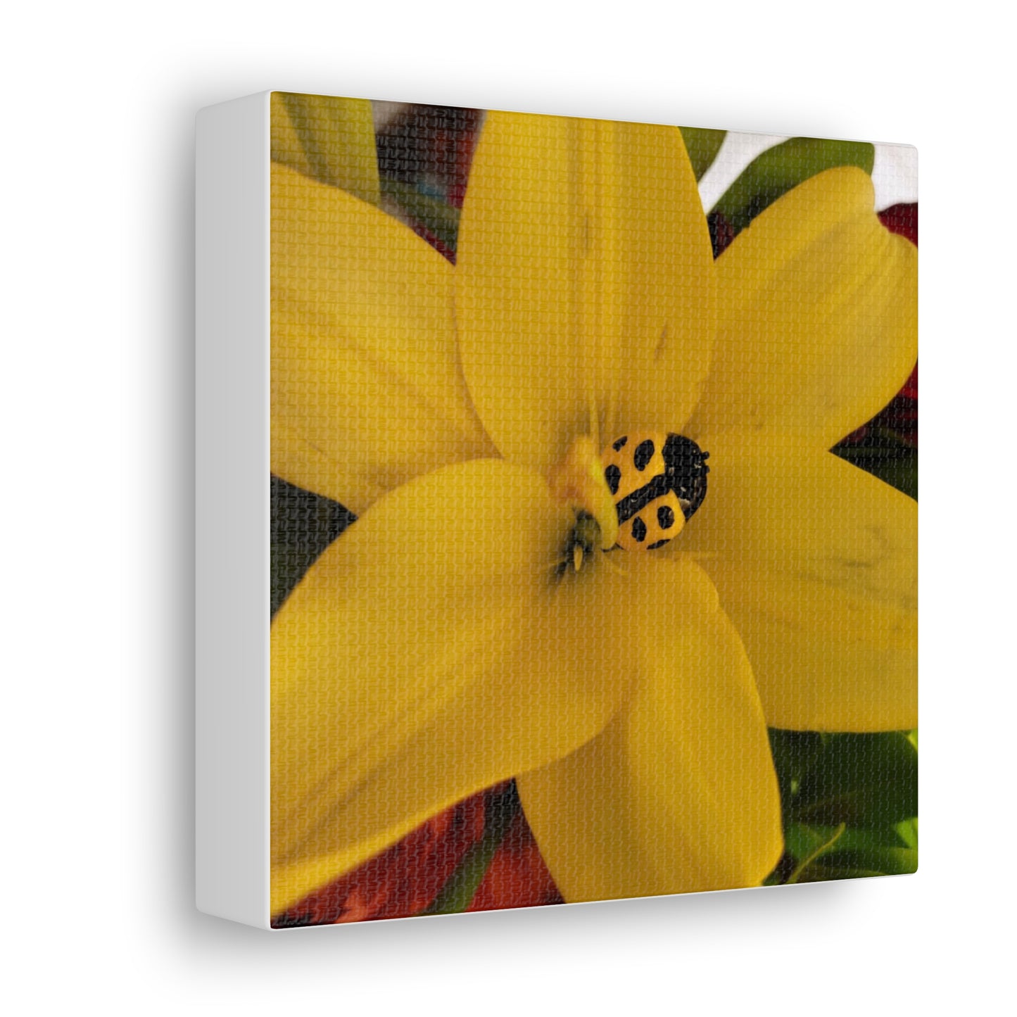 Canvas Gallery Print #3
