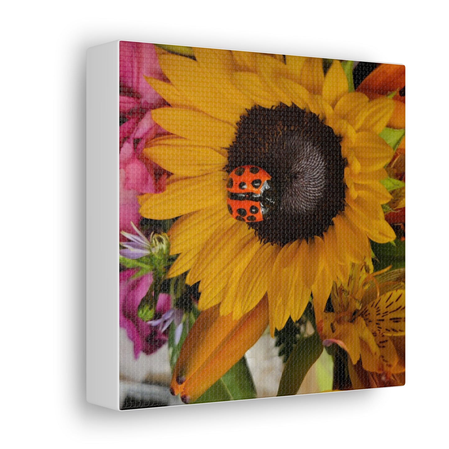 Canvas Gallery Print #1