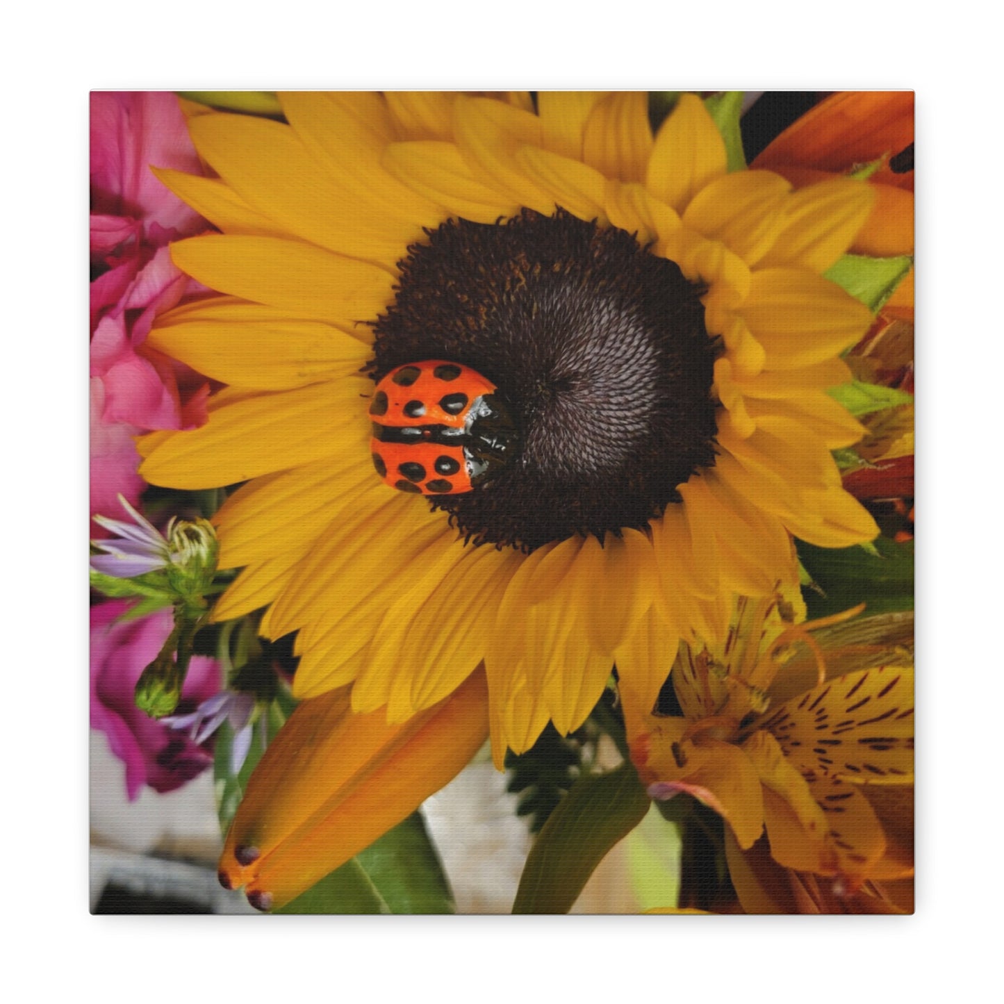 Canvas Gallery Print #1