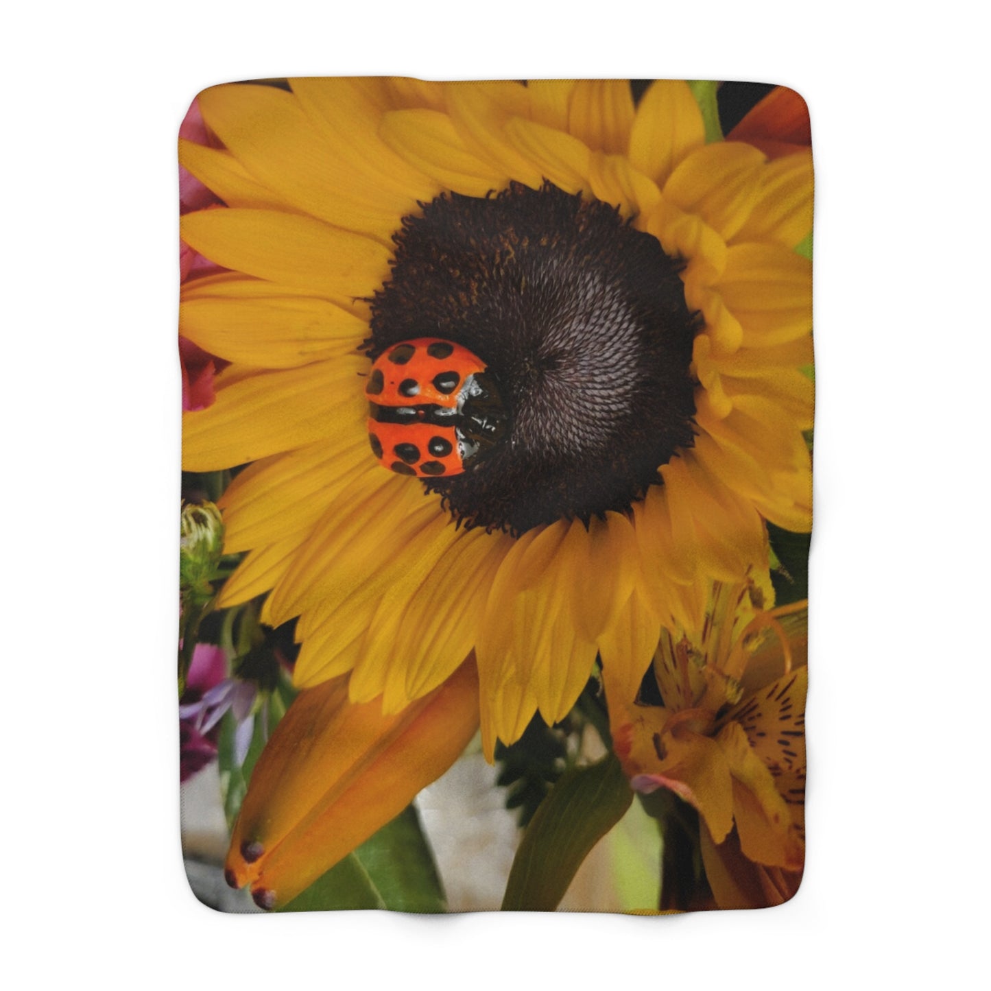 Sherpa Fleece Blanket