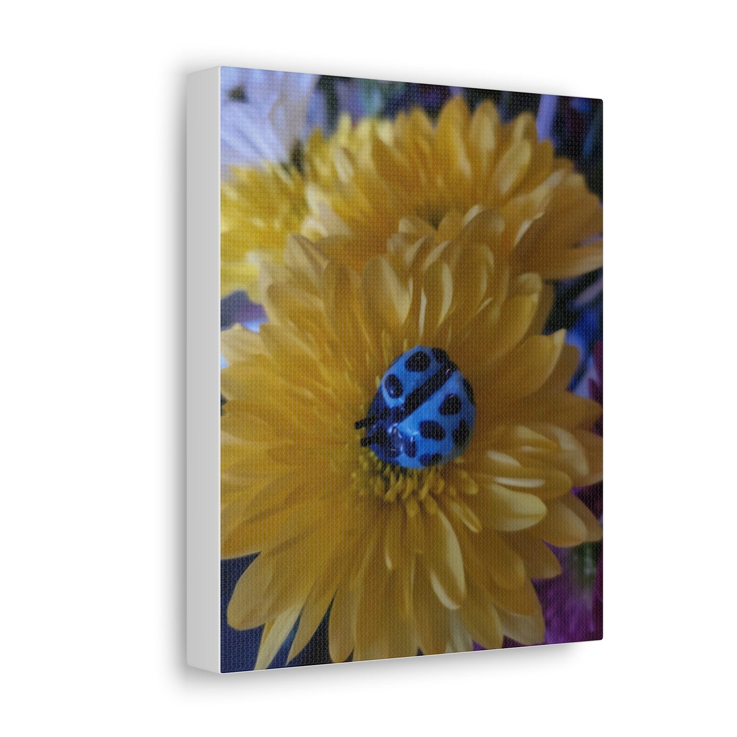 Canvas Gallery Print #4