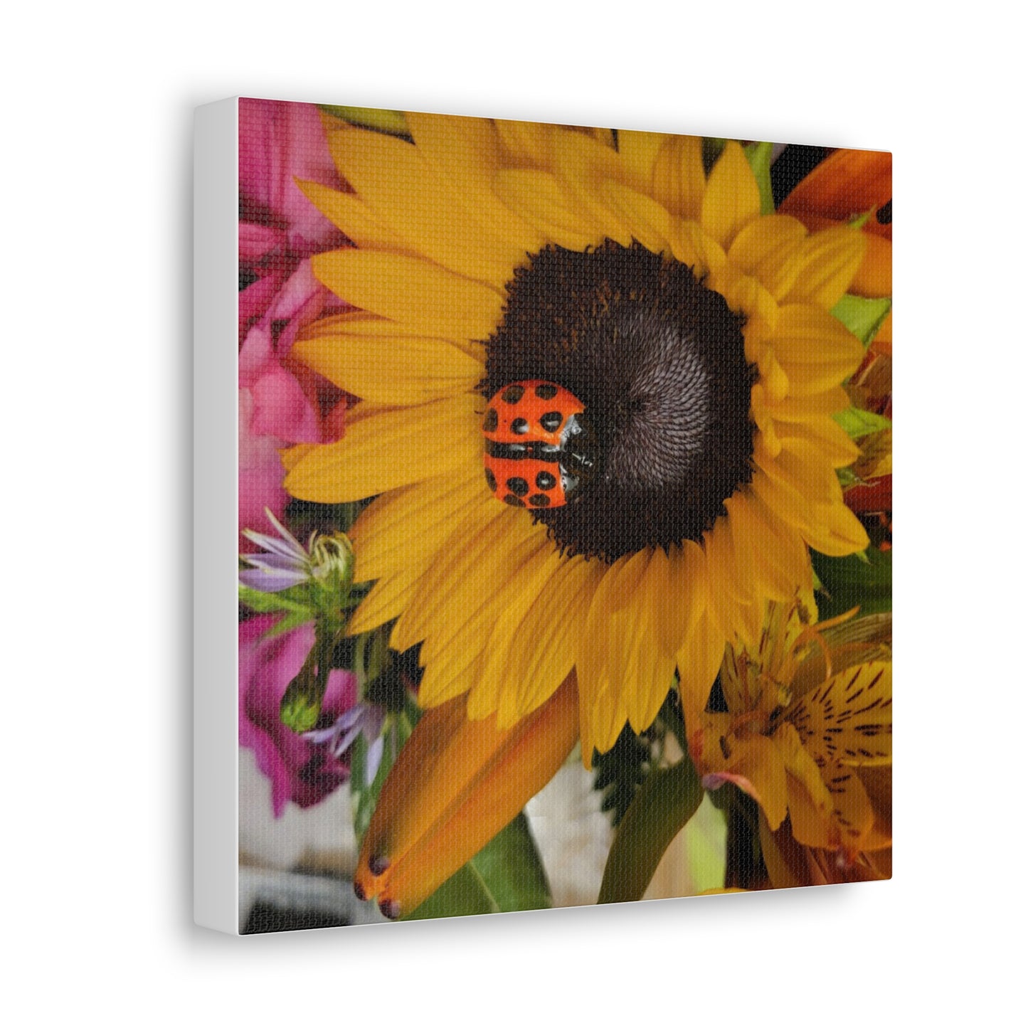 Canvas Gallery Print #1