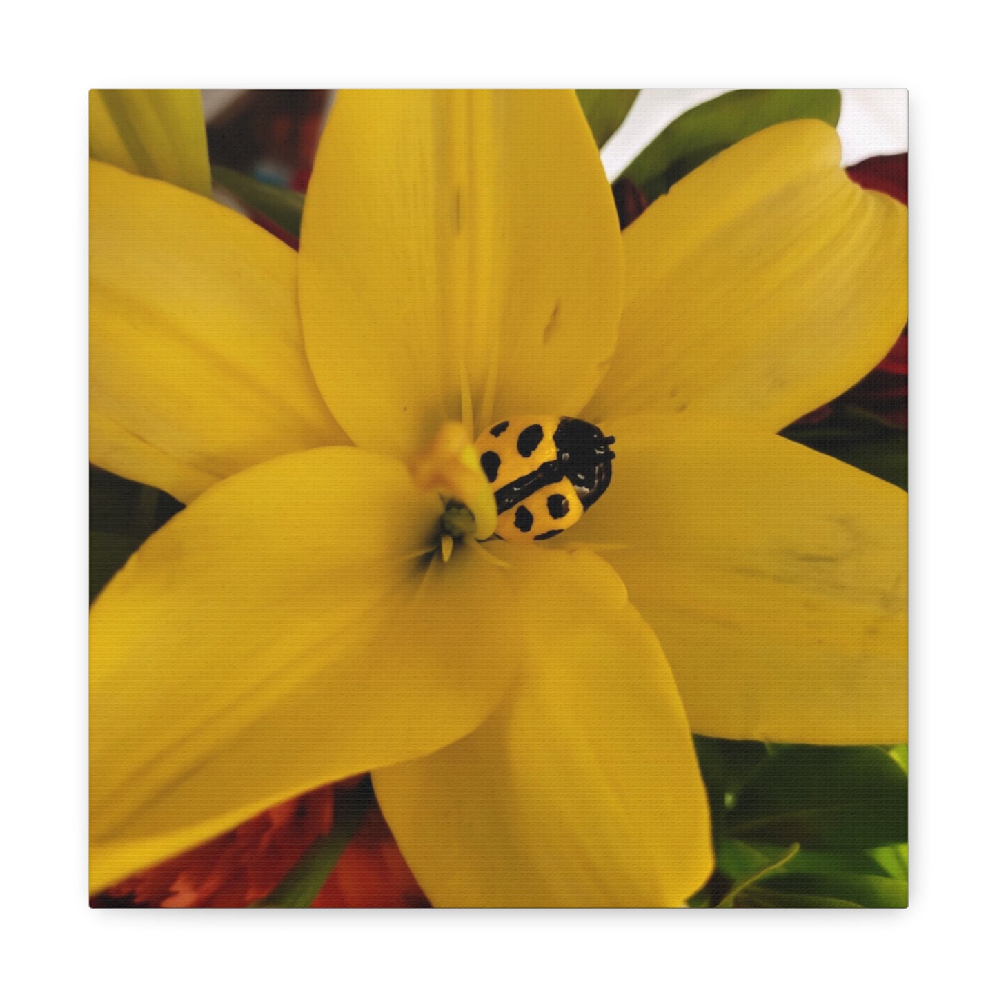 Canvas Gallery Print #3