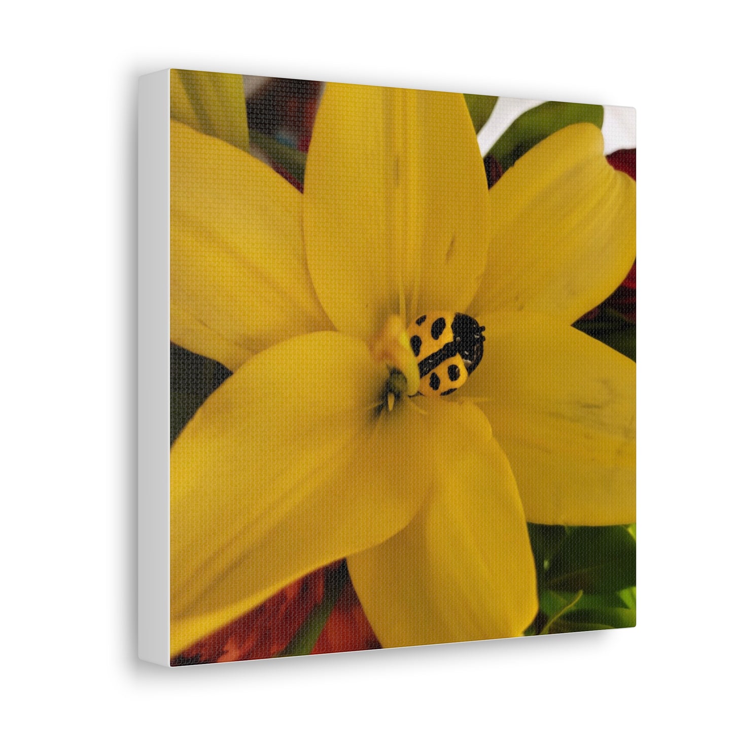 Canvas Gallery Print #3