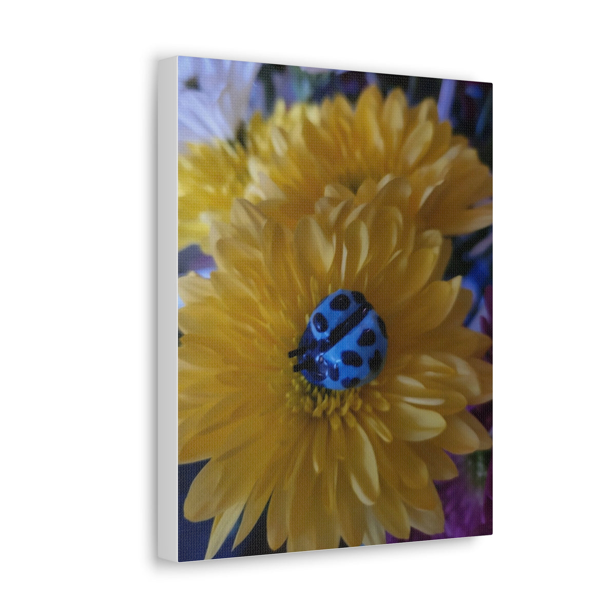 Canvas Gallery Print #4