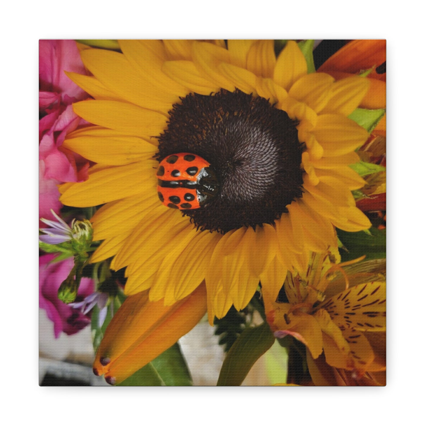 Canvas Gallery Print #1