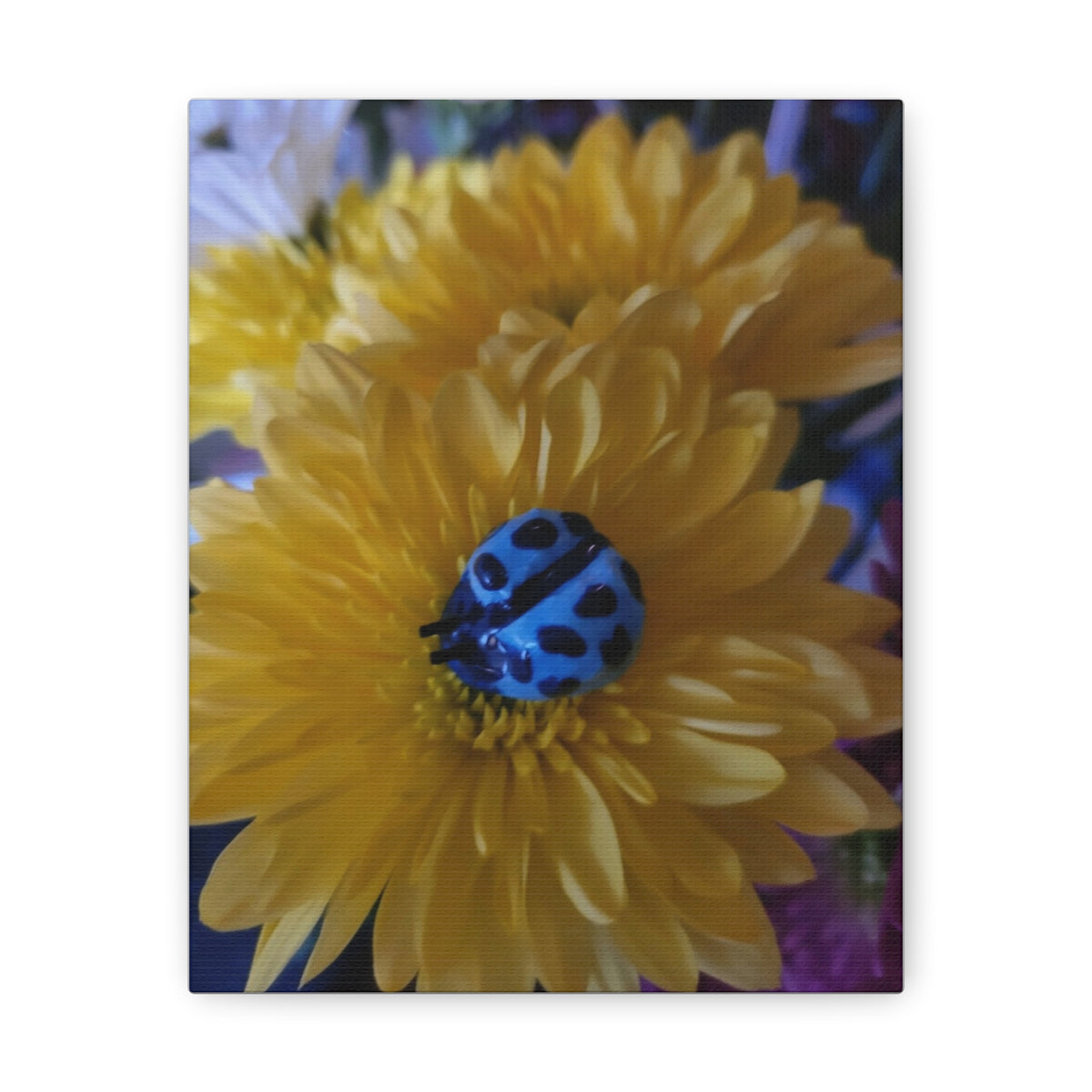 Canvas Gallery Print #4
