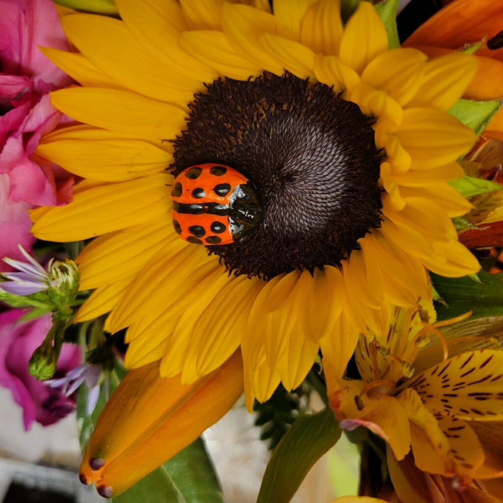 LADYBUG PINS