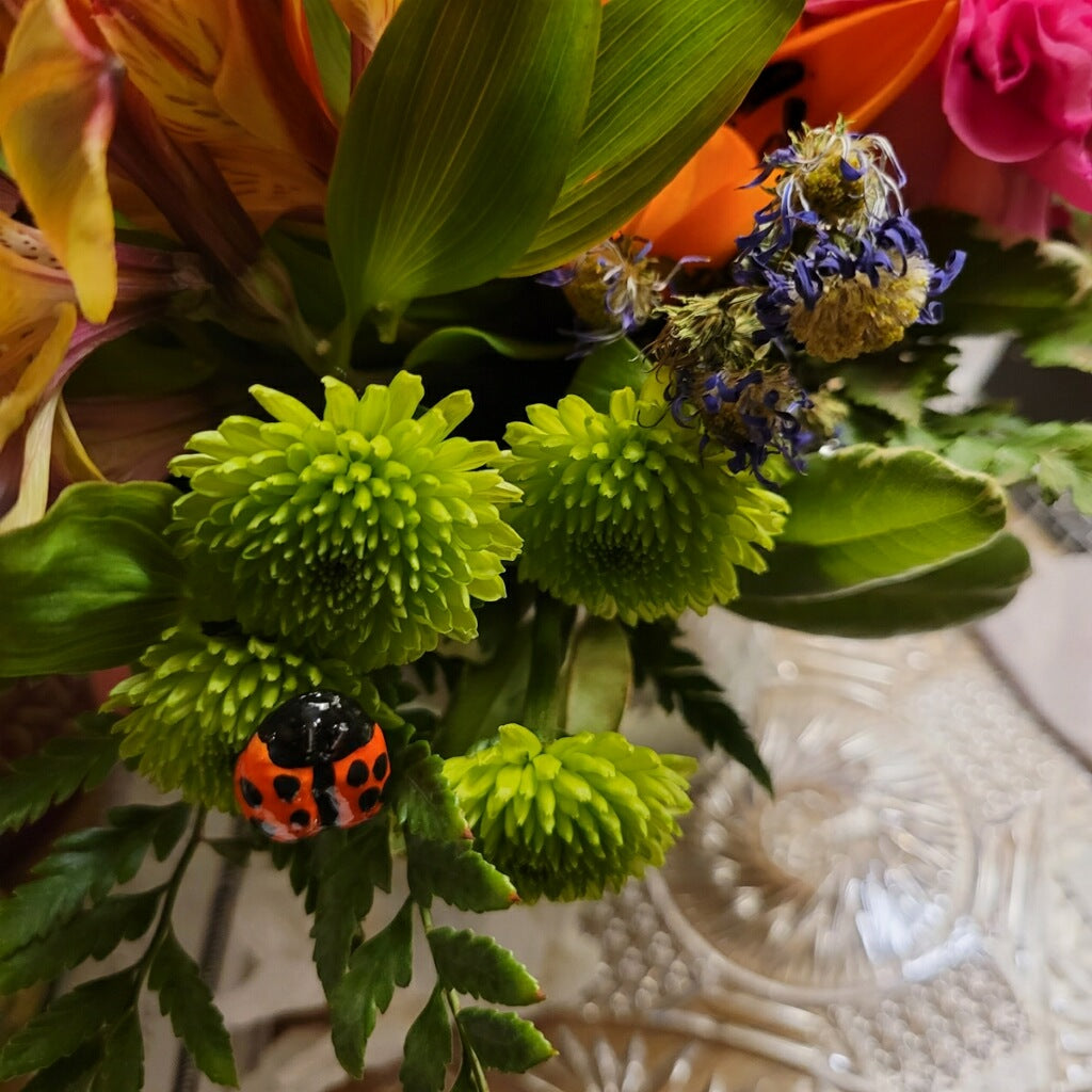 LADYBUG PINS